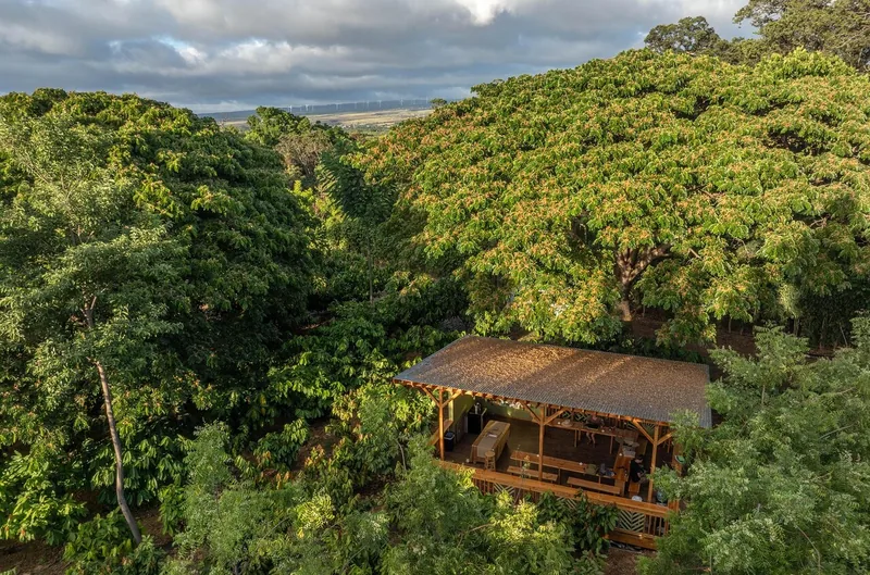 Kamananui Cacao Orchard Chocolate Tour