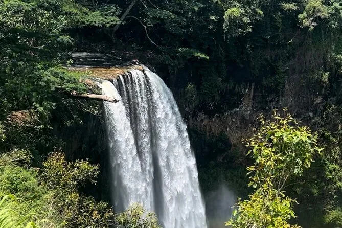 Wailua Falls pouring over a cliff into a jungle pool